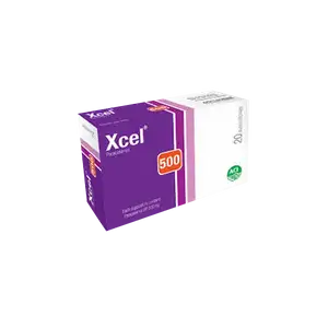 Xcel 500