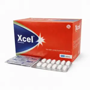 Xcel 500