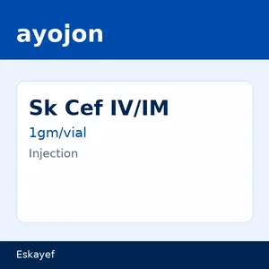Sk Cef IV/IM