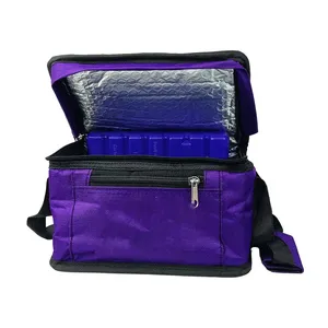 Cooler Bag With Ice Pad