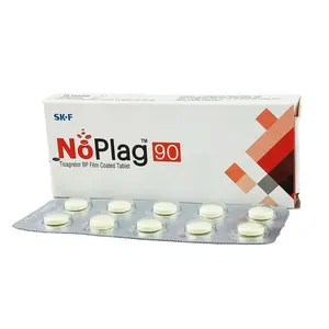 NoPlag (Box of 10)