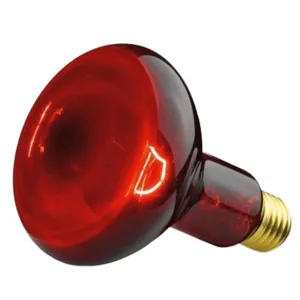 Infrared Heating Lamp Heat Lamp / IL 11 Spare Lamp- 100v Watt (Technokit)